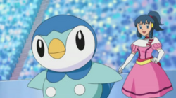 Dawn's Piplup-1-.png