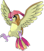 0017Pidgeotto.png