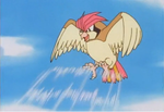 150px-Ash Pidgeotto Gust.png