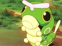 Anime Caterpie.png