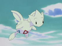 210px-Misty Togetic.png