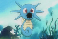 Anime Horsea.png