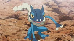 Ash Frogadier.png