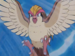 Pidgeot Whirlwind.png