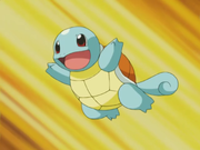 May Squirtle.png