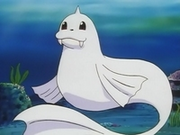 Anime Dewgong.png