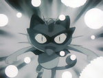 Meowth Pay Day.png