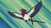 Ash Swellow.png