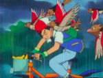 Spearow-Peck.png