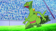 Ash Sceptile.png