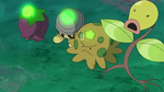 Cherrim Seedot Shroomish Bellsprout Growth glowing.png