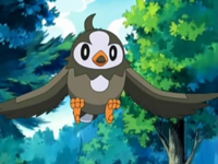 Ash Starly-1- (2 (21).png