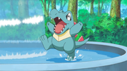 Ash Totodile(1).png